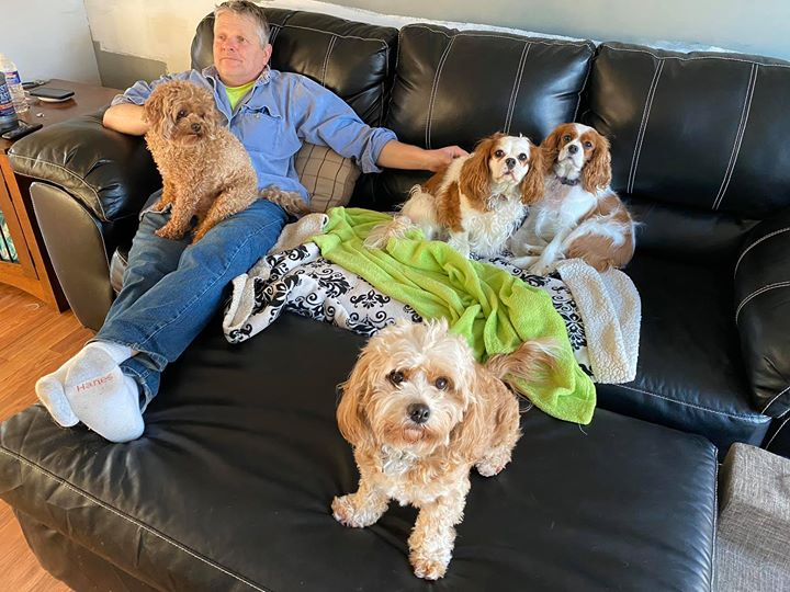Daddy Working From Home - Cavapoo Kennels of Western New York